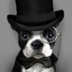 Meet your Posher, Isabella